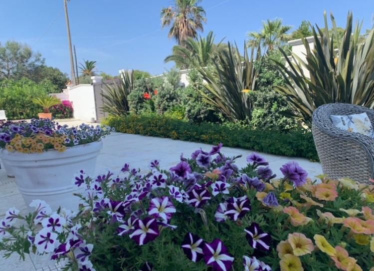Villa Katy Salento Campomarino  Exteriér fotografie